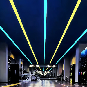 RGB+3000K Black Finished LED Line Light 