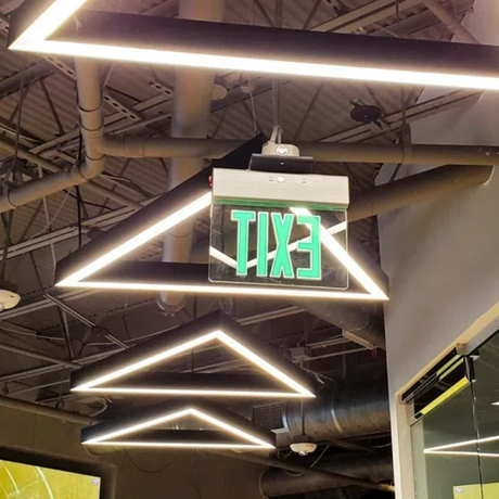 1556 (4).png