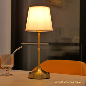 Elegant Brushed Nickel Wall Light for Bedroom