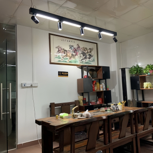 59″ RGB LED linear Pendant light With 6000k Spot light 